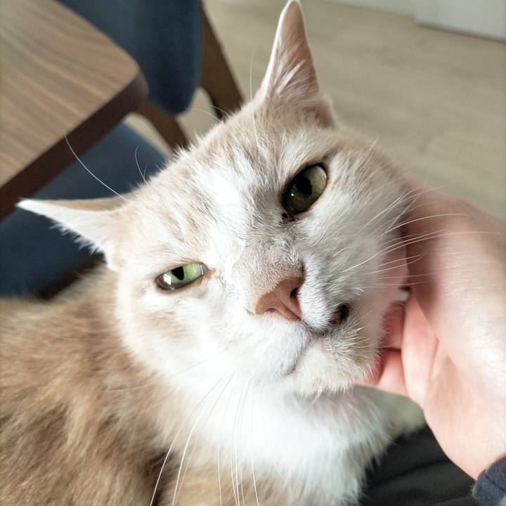 B4d670cd 065b 4fbc a46e 1c408d97f6ee 1682727265535