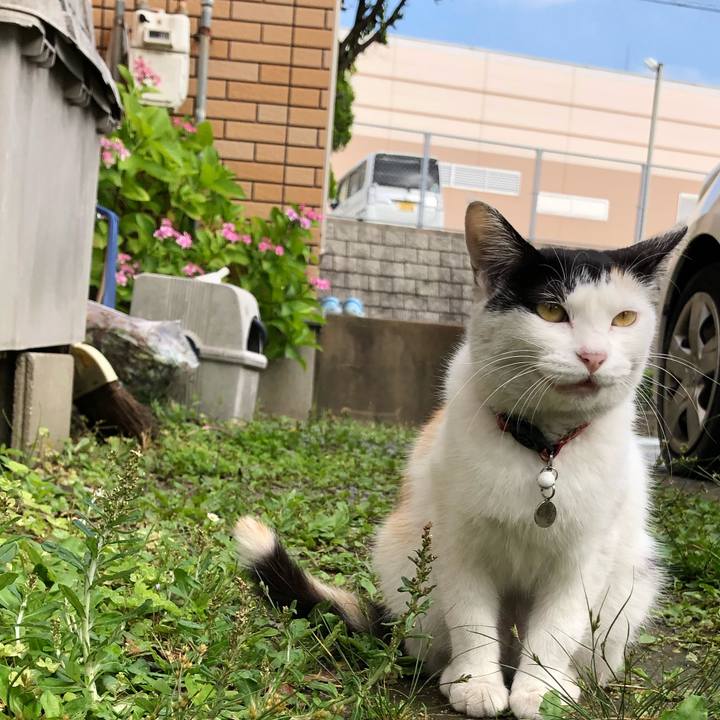 B4d67a22 6e17 464b b883 59ec9fa03c1f 1623884860499