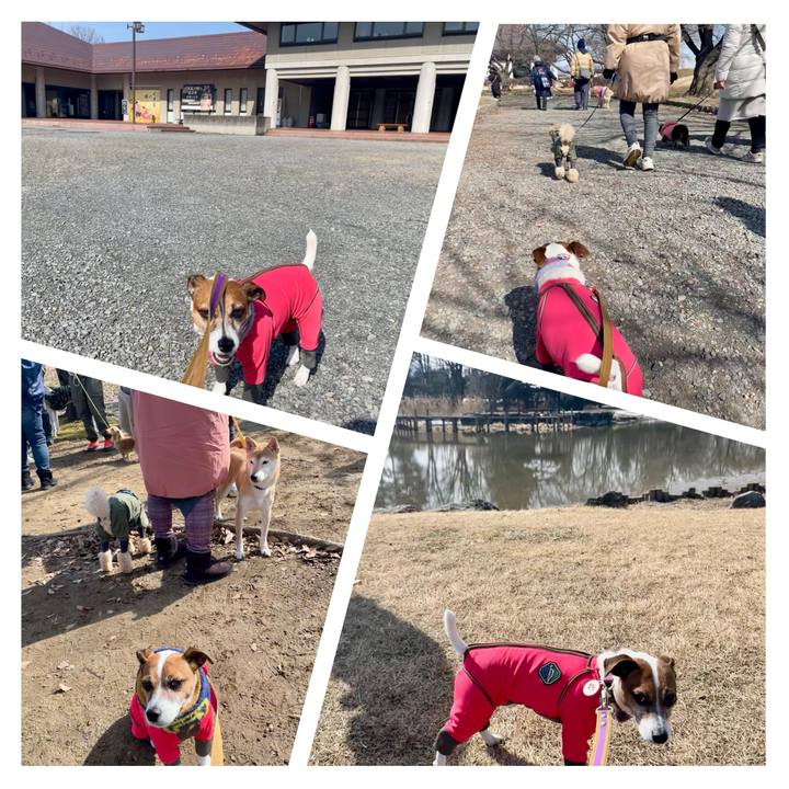 B4d6814f 55b6 46eb bbde a4caba814226 1739705115901