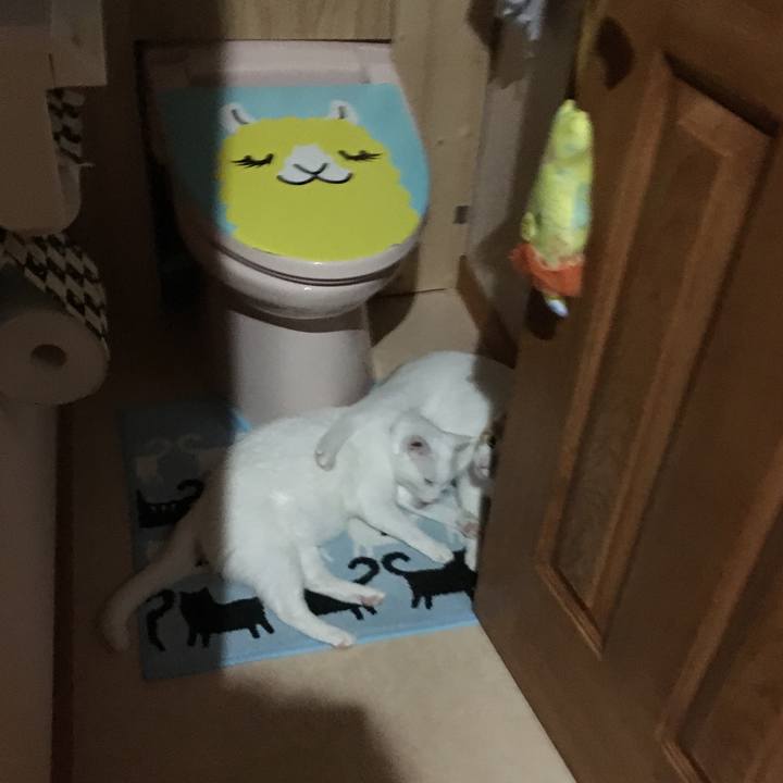 B4d6da12 b1e3 4e2f b90a 3b7aa2efdcc5 1530449644983