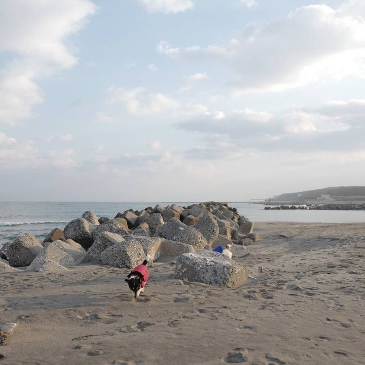 B4d7329e 2e74 46bf 863d 8d922910ec11 1550897293431