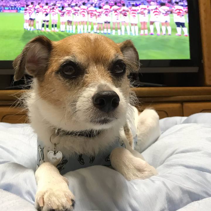 B4d75592 cc1c 498d a3aa 600d26157228 1570271800124