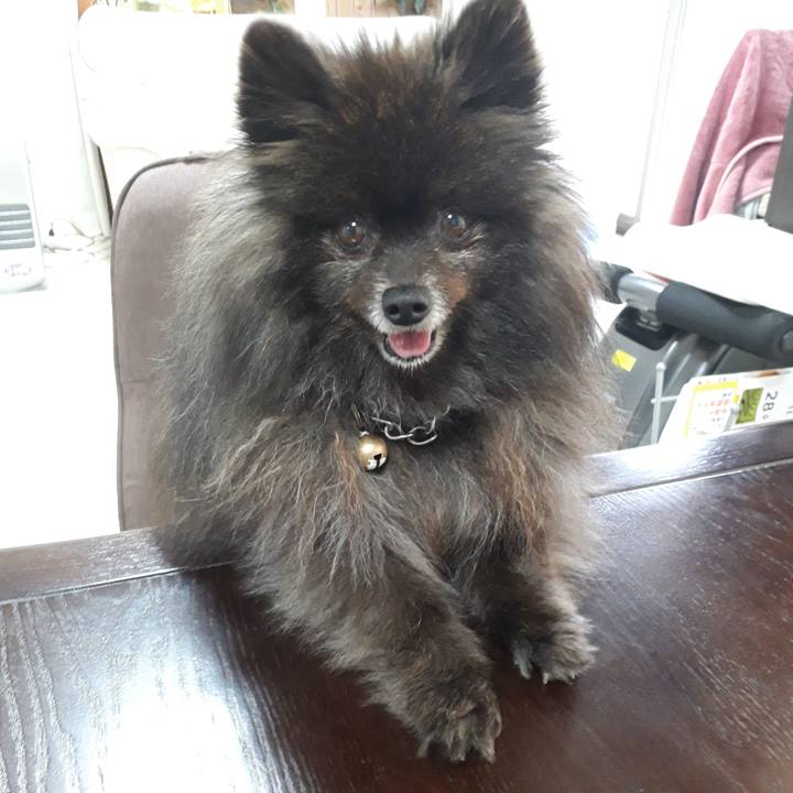 B4d75f35 2c0d 4d69 9ae3 6f7583f35487 1519174510091