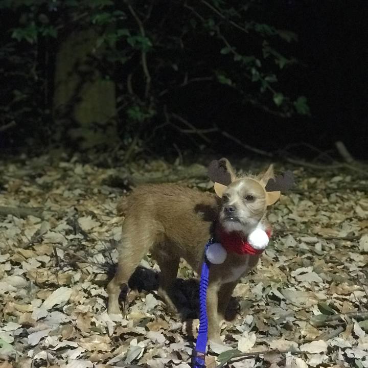 B4d76ddd 8a3a 47e0 8a48 f5c8844f3b7e 1608857962482