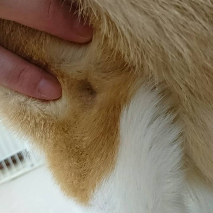 B4d7712a 984e 4fe2 9069 ba1e8a505c32 1536226793054