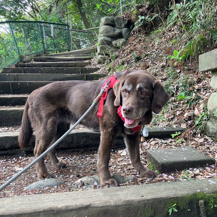 B4d777d2 600b 47b5 9ffd a9ceb9e209b1 1775439364888