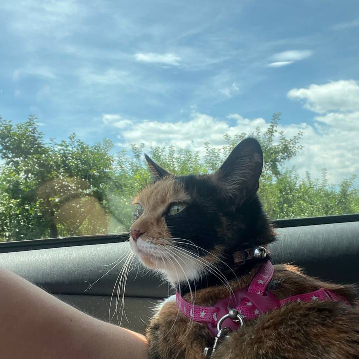 B4d79aa7 61a7 4f87 9508 bdf671560b89 1721701635329