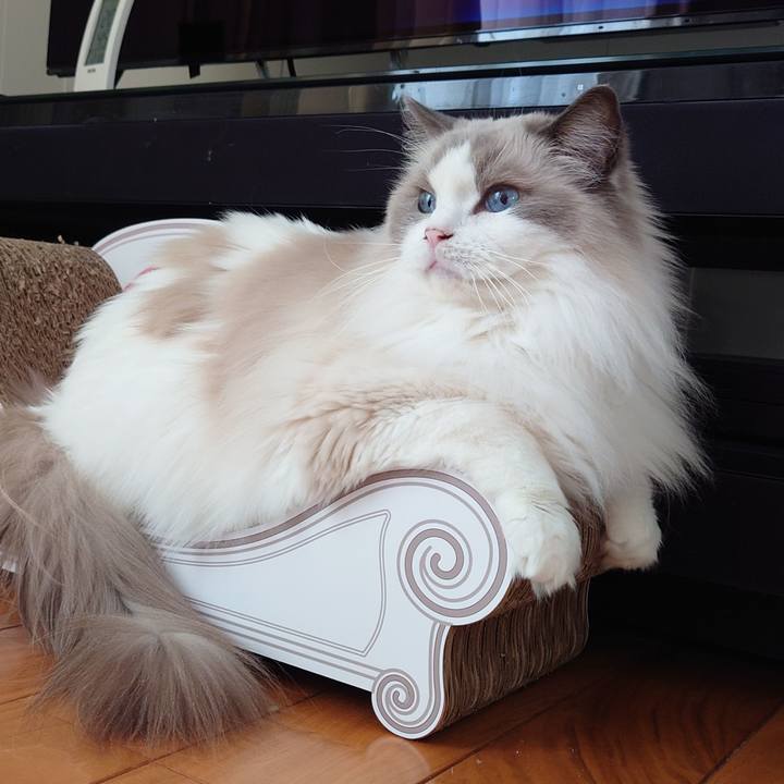 B4d7b446 c15b 4272 aa34 1fe02c19c442 1769502059482