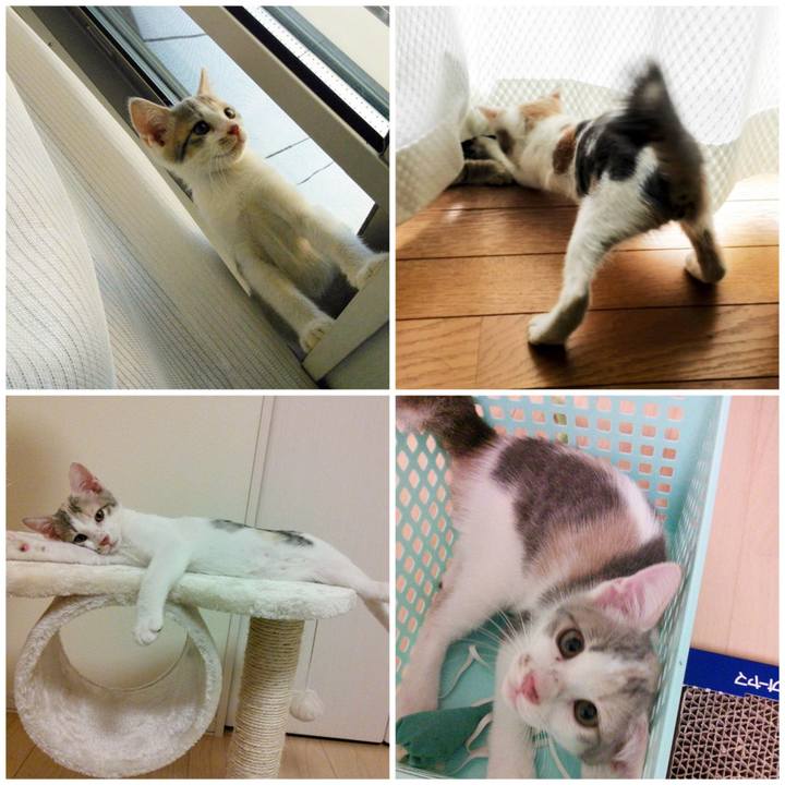 B4d7f89f 3673 471c 9e29 6c19f624f0c6 1597293321287