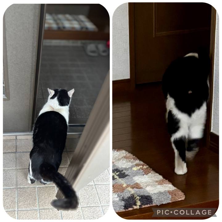 B4d81047 d30d 4b8a af4e d275314d7312 1766479616025