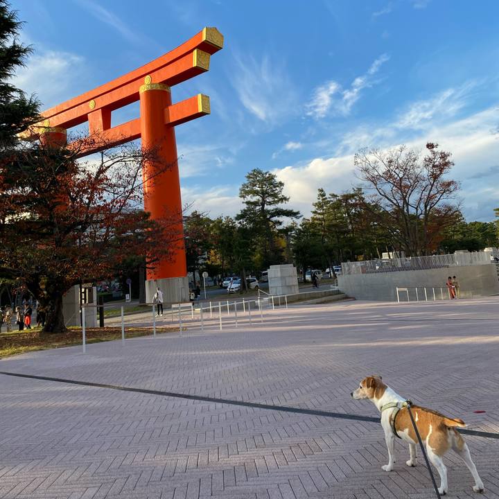 B4d82930 ff33 455a 9b60 6fd69c39a2e4 1605606430585