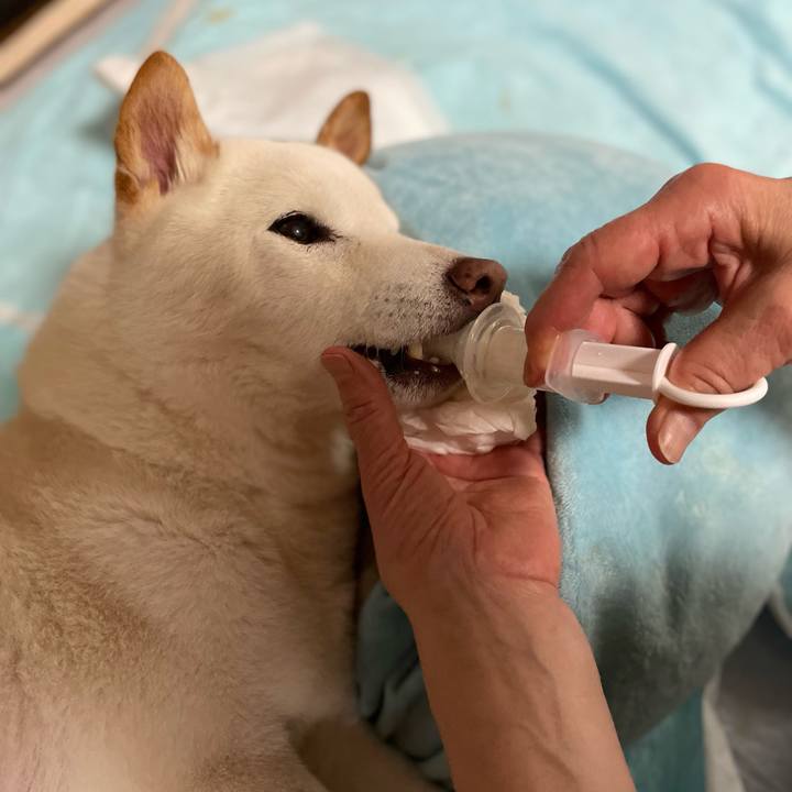 B4d8443c a63e 43df af93 ef08eb6b090a 1652081964062