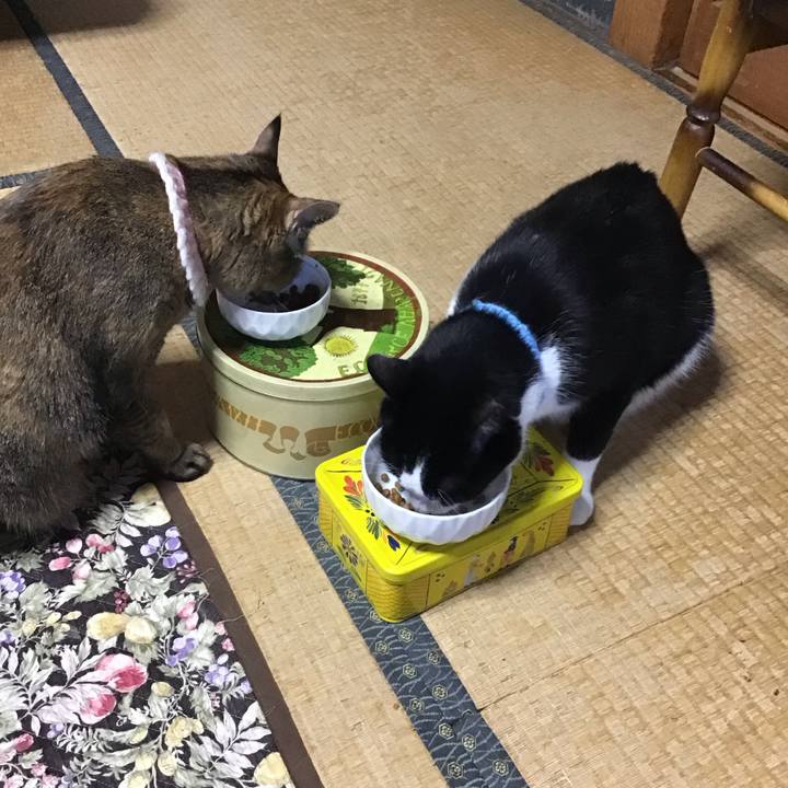 B4d8554a a165 4cd9 8584 a309f9f4c3f7 1750061032823