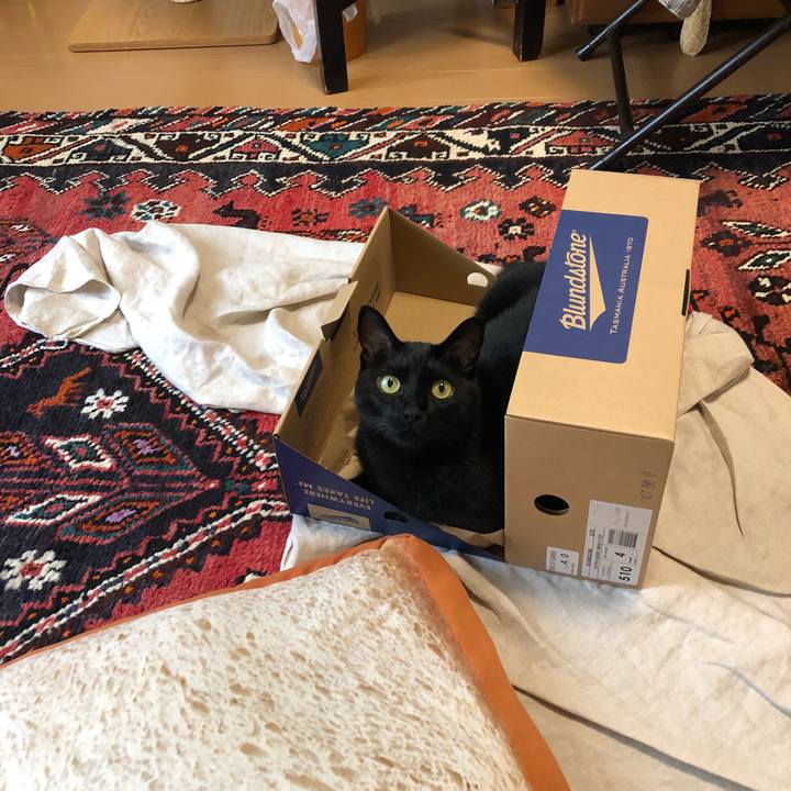 B4d89302 1f97 4a48 a344 aa8342562c1d 1561640373381