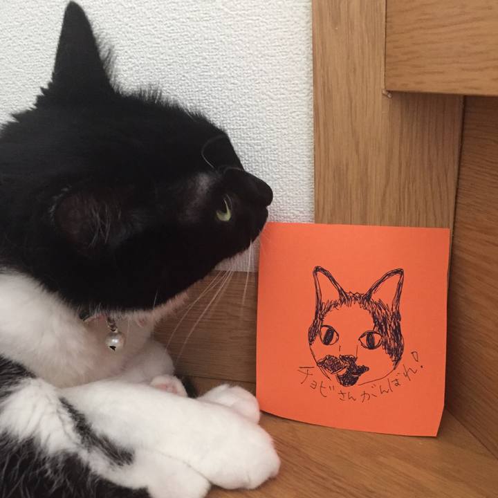 B4d8d328 2b04 4859 8850 28cc11eec2d4 1531317708072