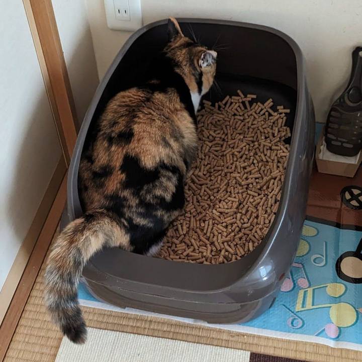 B4d8ed8b e962 4968 8180 2d7f645810bc 1705979921933