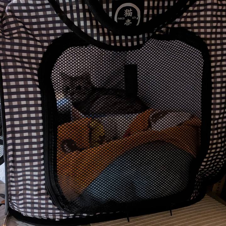 B4d9382b 21ca 4824 88b9 7a6a44f731d5 1760980508775