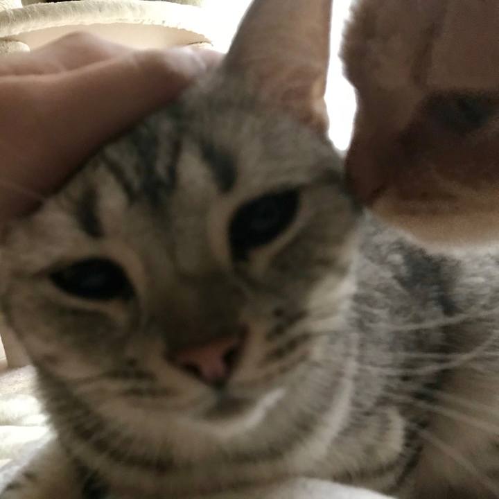 B4d949fd 0672 4ea5 8c64 962ac92d9b71 1541457146050