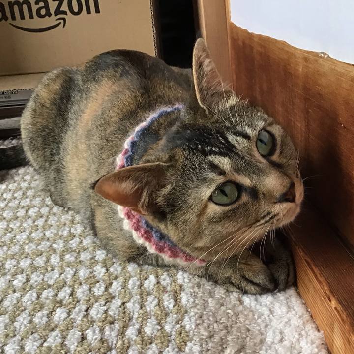 B4d972e3 c1dc 46ea 8a6a c5663908193b 1621140426591