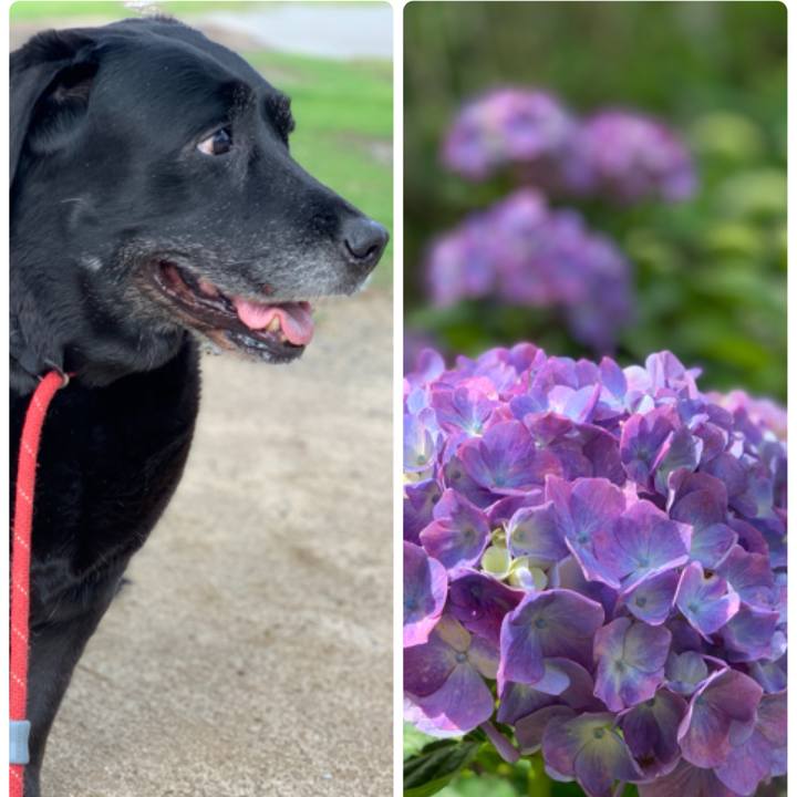 B4d9b5a5 f21b 4758 99be eca4a4d75bf1 1560917049980