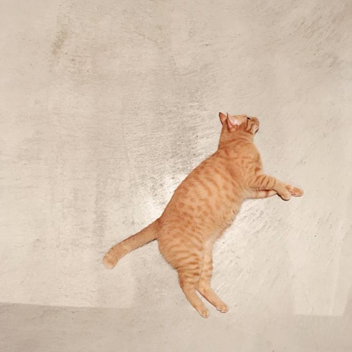 B4d9f3b6 7d98 4743 8b6a e3ac0ad28910 1569333162002