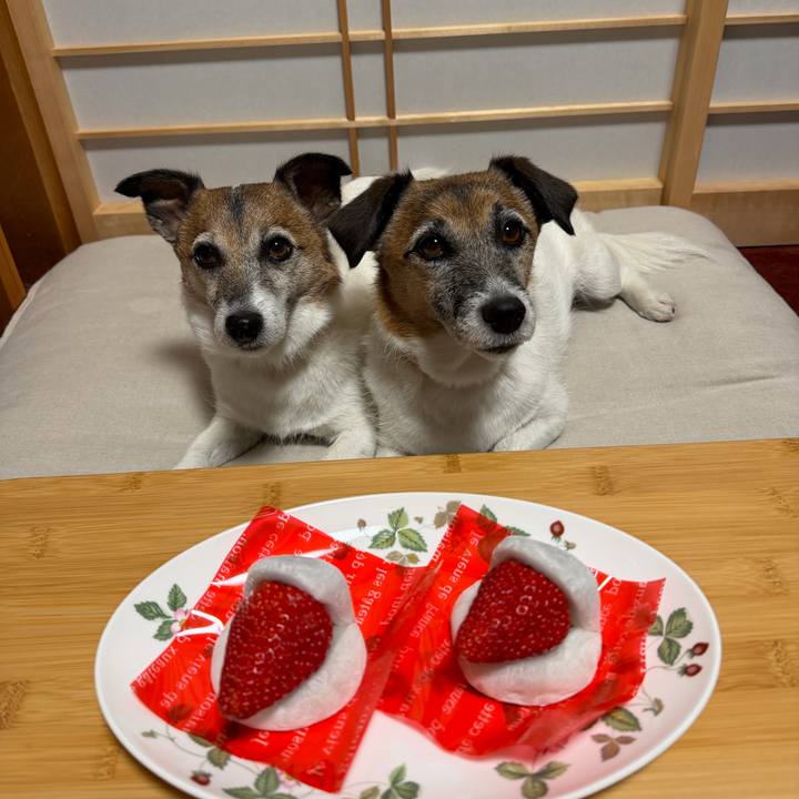 B4da1579 f949 4357 9d92 11f359c28bb9 1773925100091