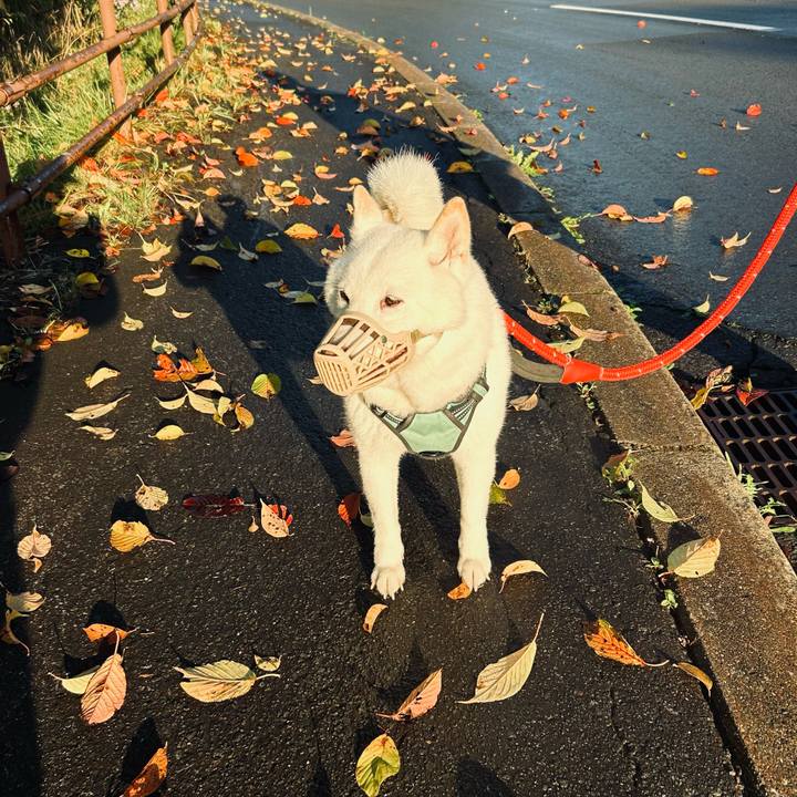 B4da2167 958c 4d46 934d 5fab6d16cb26 1696032027307