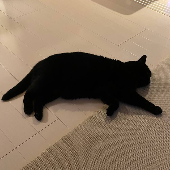 B4da66a8 fc3c 40a7 8b3e e61e30ac6cea 1628500322227