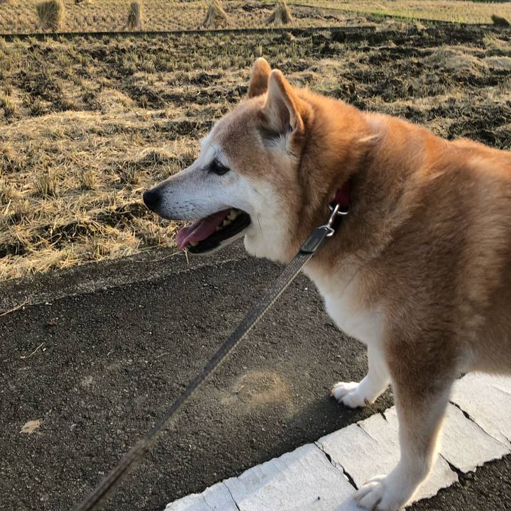 B4da69fd 9c16 479a ab25 902f20c649c4 1568634216510