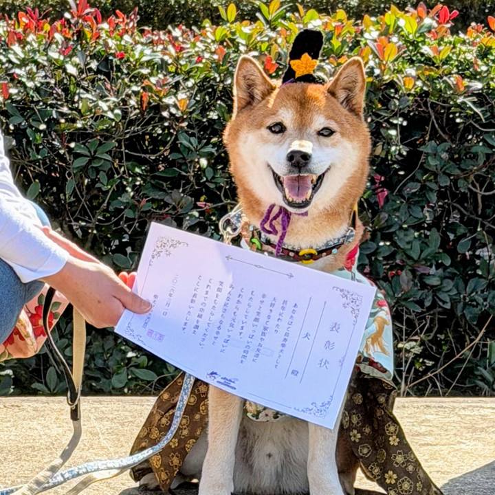 B4daad33 87de 4a75 a38d bd7de2aa85fc 1772519219640