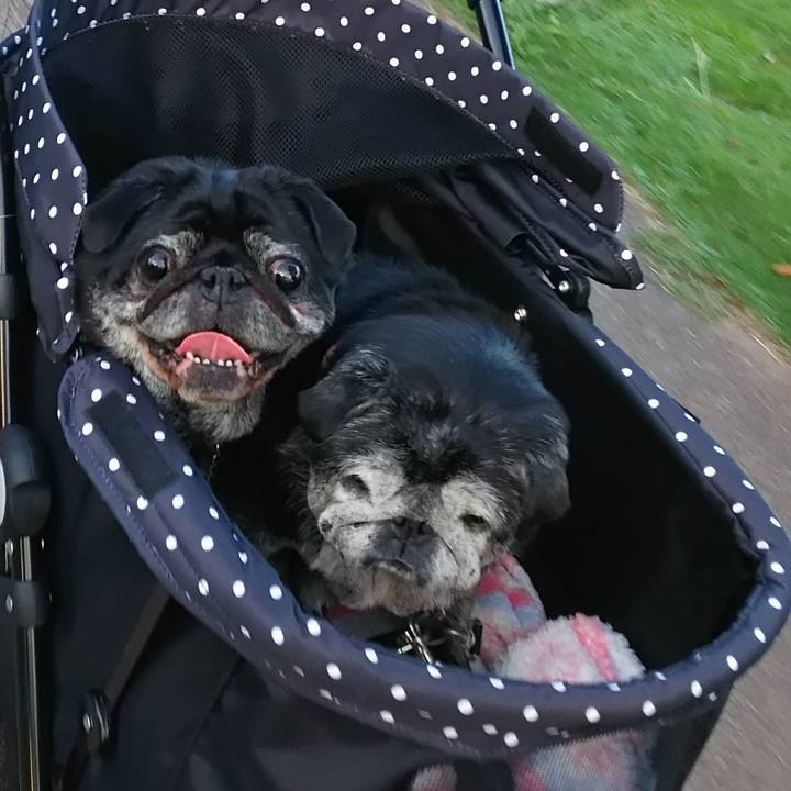 B4dac496 5807 4015 9ed5 ead099f9da58 1556124992755