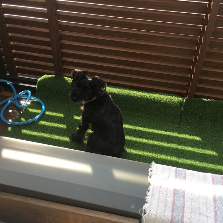 B4dad62f ff52 44d2 af0a 27da51632c4c 1534633053829