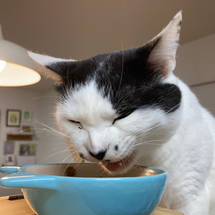 B4db2948 4925 419d 9808 e943ce13c1d6 1771189458421