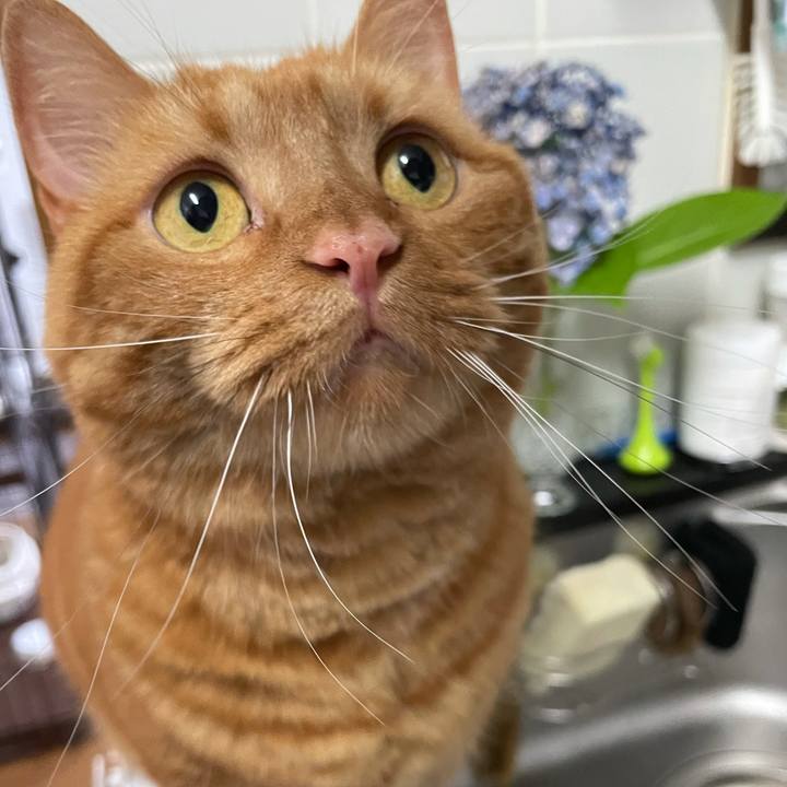 B4db5812 6495 47c2 ab79 95fc433832a4 1624961339525