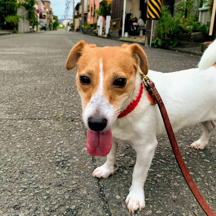 B4db7c8d eba2 4adb 829e 2be8e96bcc83 1564828547138