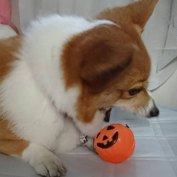 B4db9d26 a5b8 49d0 b294 5aec19e22b6f 1540966700094