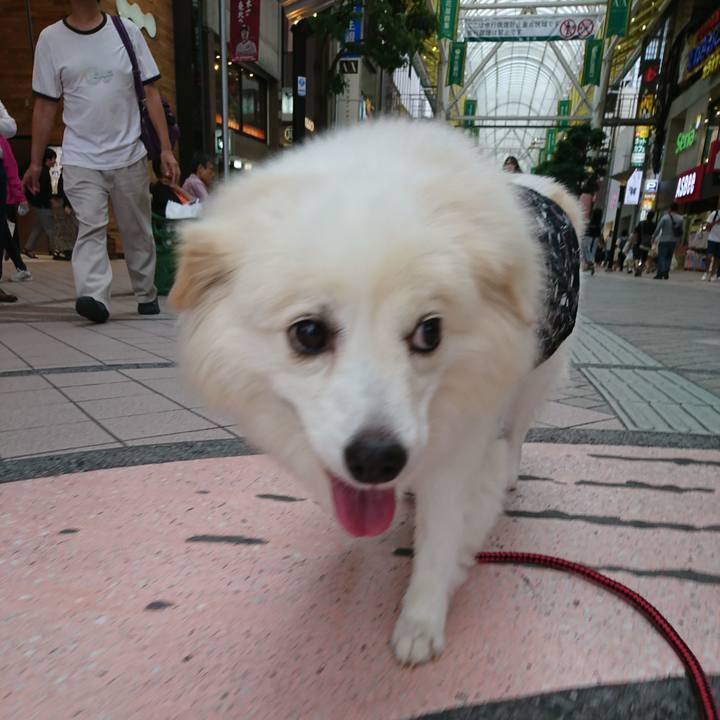 B4dbaf43 2eb8 40c9 bc03 5a1f48453bda 1537686162334