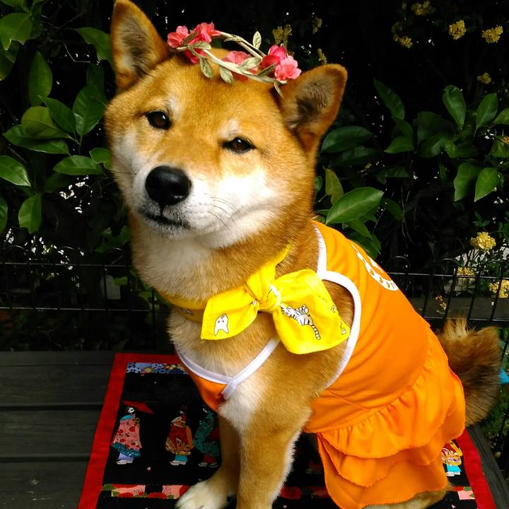 B4dbc896 dfa8 487c a5d2 918b221d217d 1524805747002