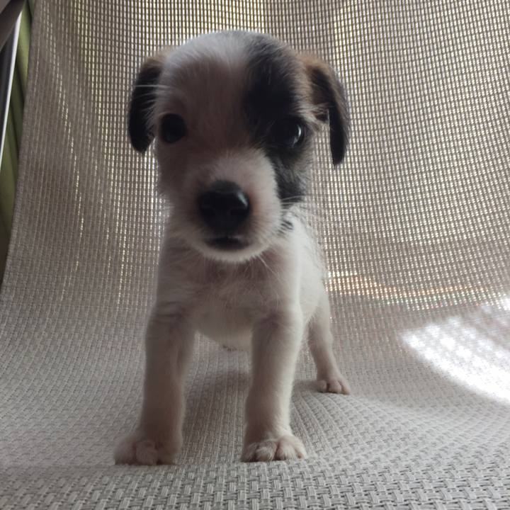 B4dc02c6 f28d 4318 ba3c 2d7741a30f77 1553602176972