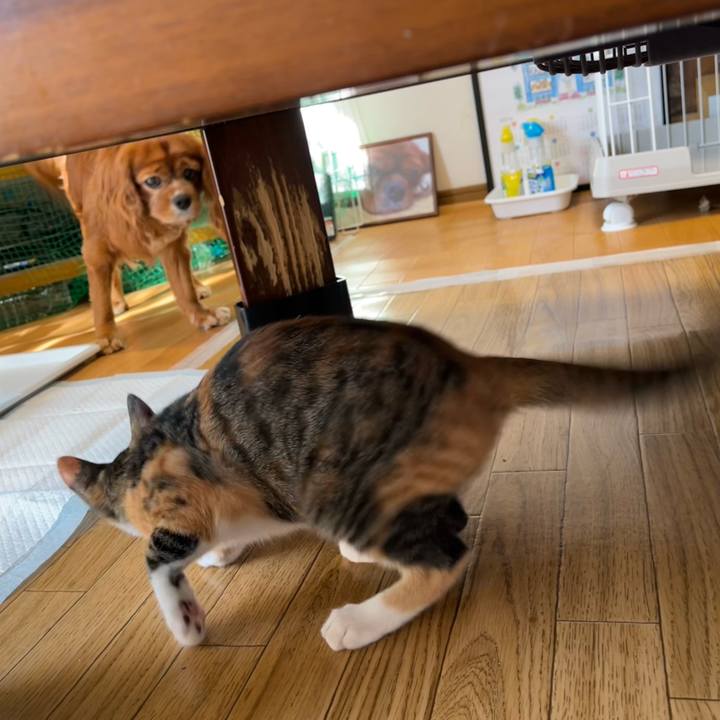 B4dc29a1 302d 4759 800d cd5d45abf3d5 1657146259264