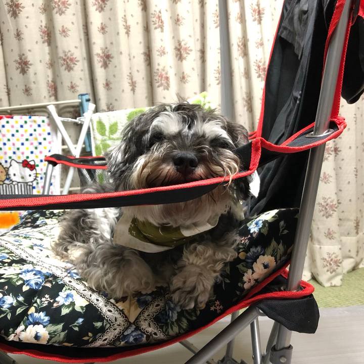 B4dc4027 61cc 4018 a533 c009691ff415 1564496512632