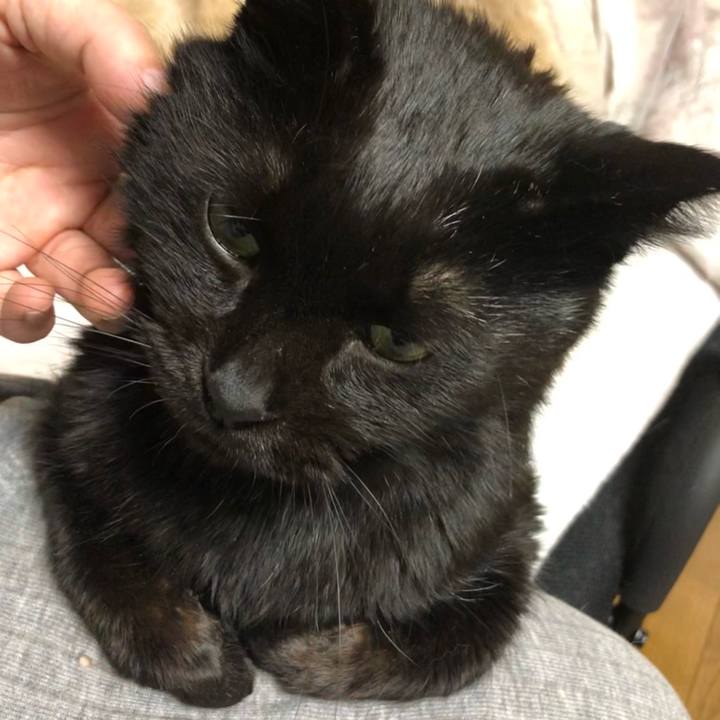 B4dc41a3 6a7a 4618 b43e f9f8f712271a 1613216603066