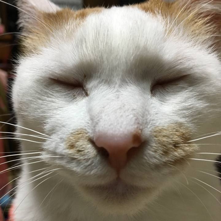 B4dc5d92 1394 4950 89ef eff3c5fb7deb 1522587492006