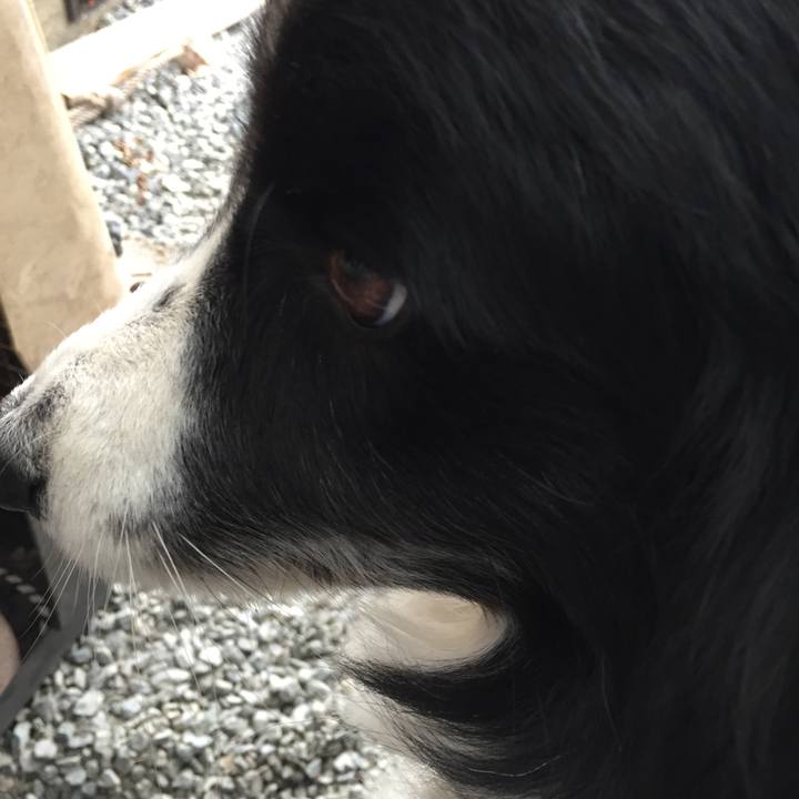 B4dc6729 5222 4025 ae03 72b44969cf58 1540533879055