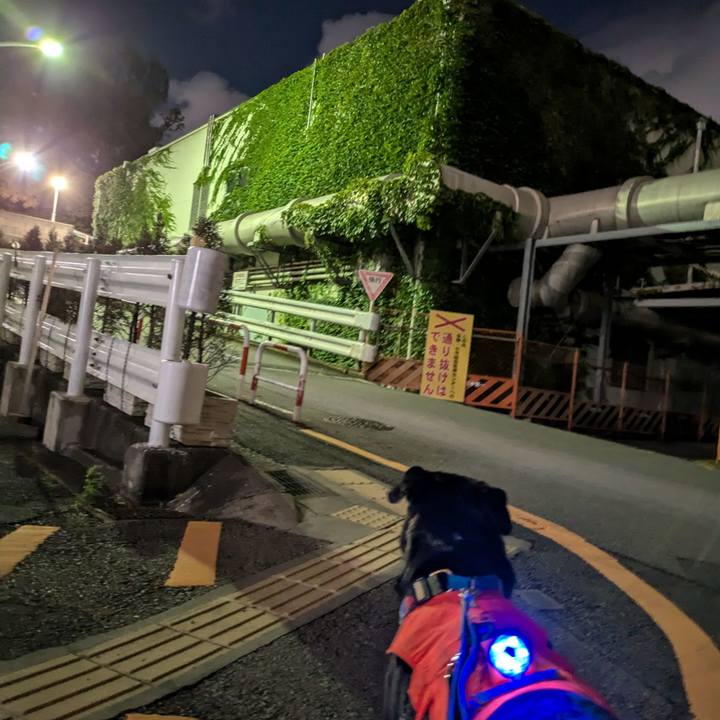 B4dc684e b96c 435b adfe 096eb9a4a489 1724669954886