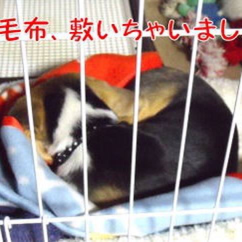 B4dc75e8 ad5e 4ad7 aa98 653cae13c6bb 1678236321602