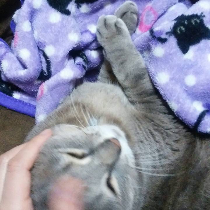 B4dc89f5 ed7c 4dd3 a1ca 9c8052e1a388 1518380948488