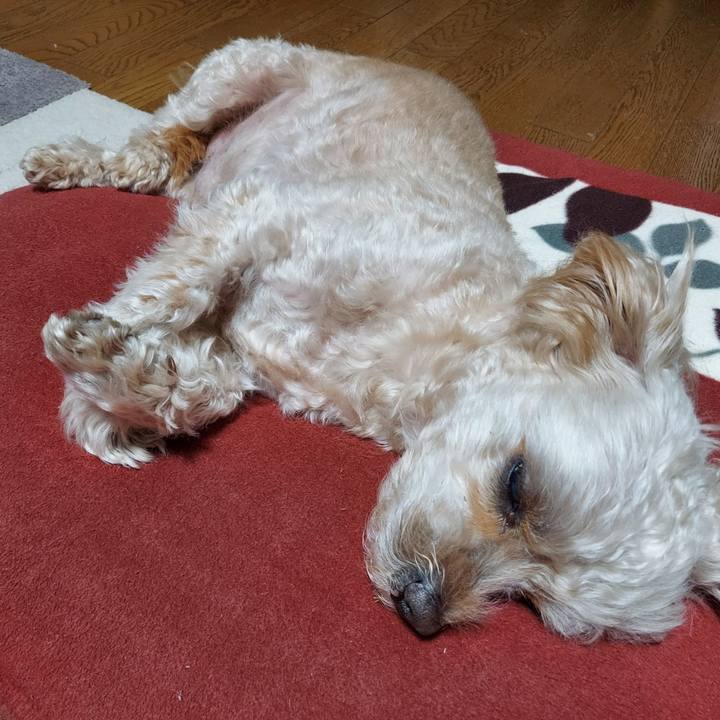 B4dc90f7 7296 450b a05c 5efbfb09a33c 1671111297513