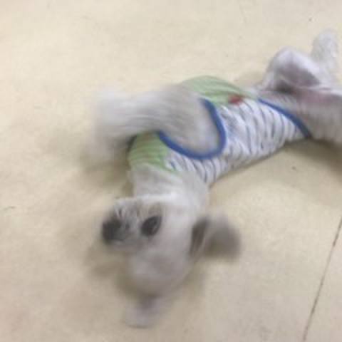 B4dc94b9 e56c 4d3e ba00 c19f6a476040 1508240191665