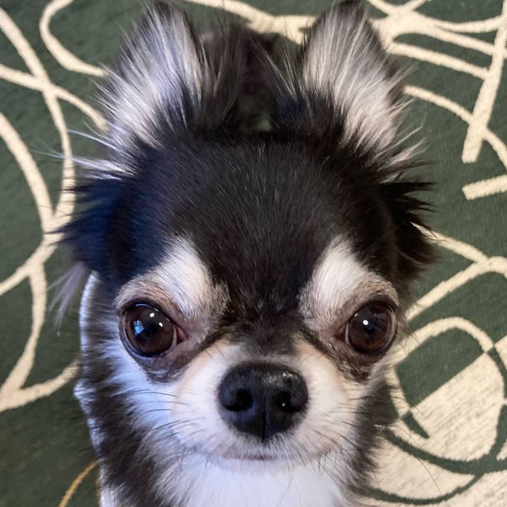 B4dc9596 e1da 4145 b6f5 f7a0b5d909bb 1640994108345